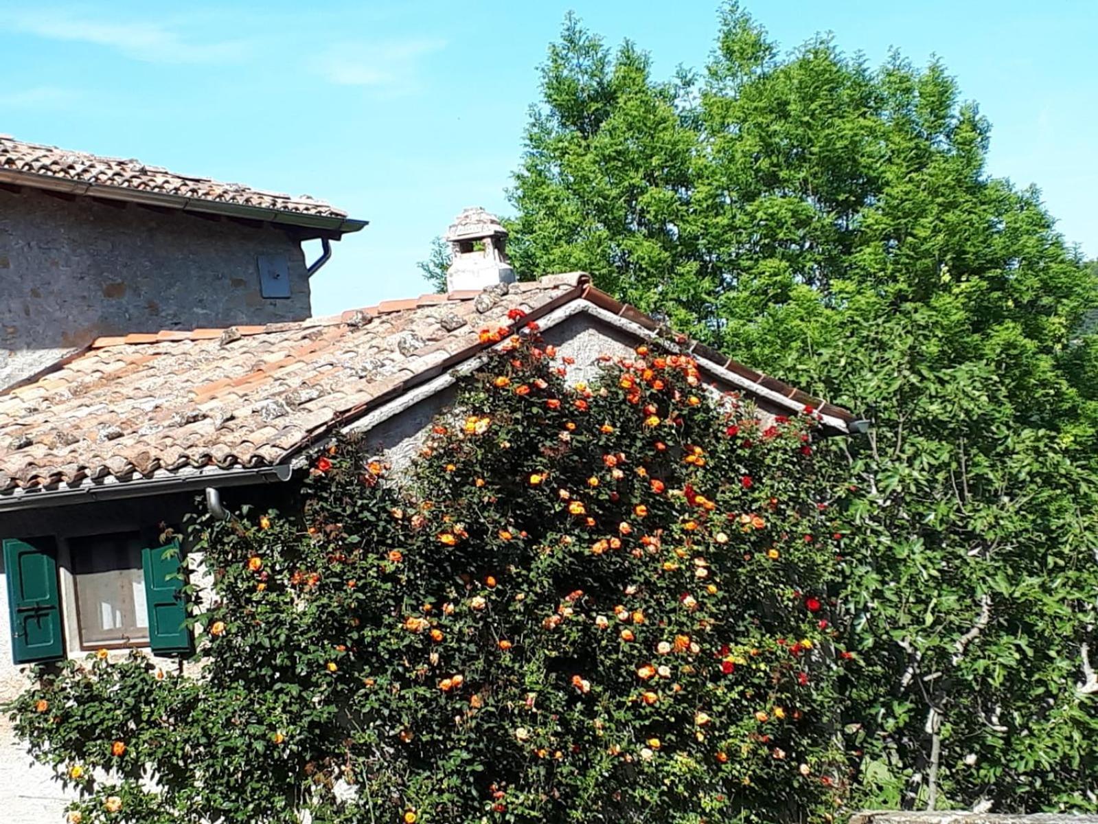 La Corte Bonomini Bed & Breakfast Neviano degli Arduini Bagian luar foto