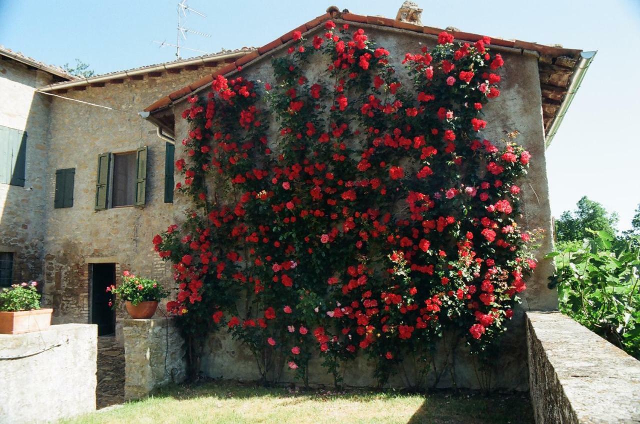 La Corte Bonomini Bed & Breakfast Neviano degli Arduini Bagian luar foto